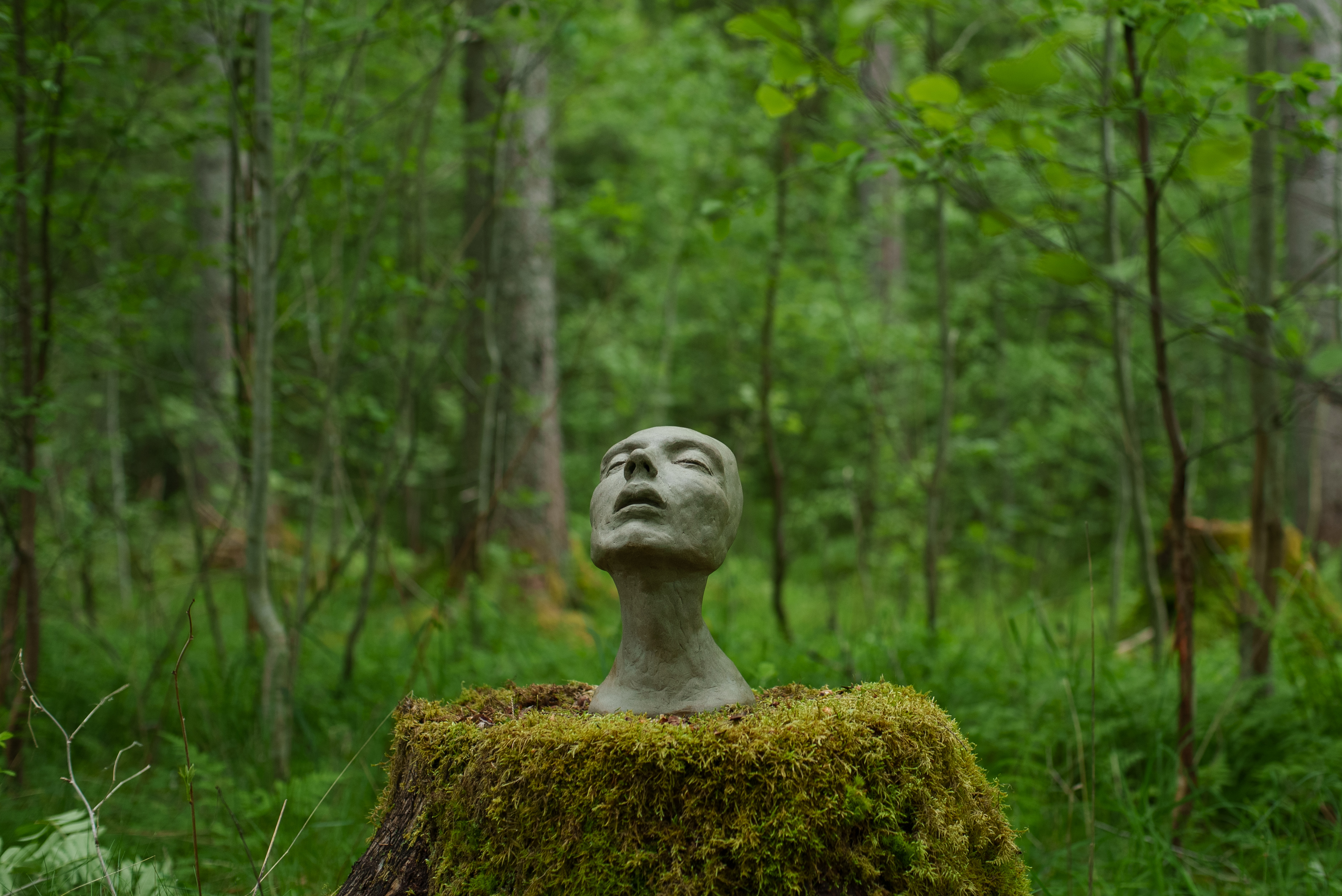 Byste i leire på en mosegrodd stubbe i skogen